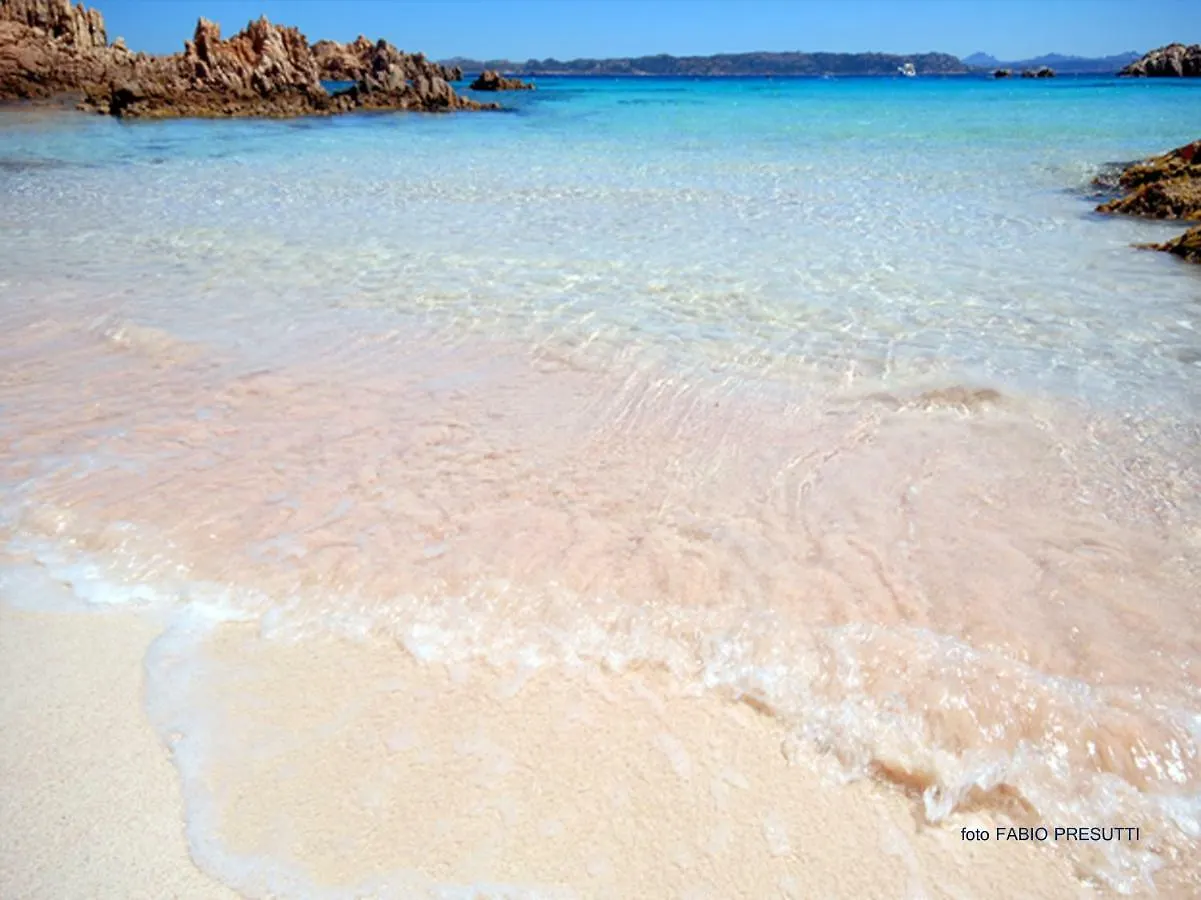 Campo Base Apartment La Maddalena